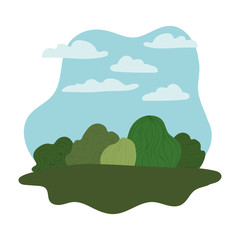 Isolated nature shrubs vector design