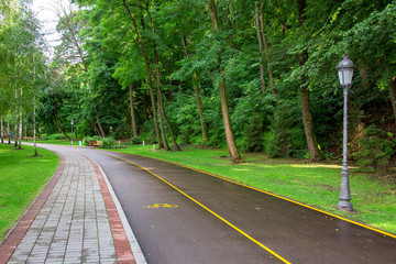 asphalt bike path with yellow markings and a bicycle symbol and a pedestrian sidewalk made of stone tiles in a park with a green lawn and trees, no body.