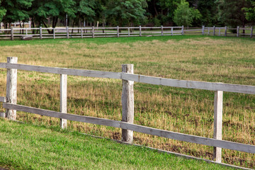 wooden fence pasture agriculture on the sidelines with green grass, nobody and no animals.