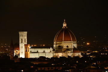 Fototapeta na wymiar The nighttime view of Florence Italy and its skyline