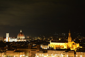 Fototapeta na wymiar The skyline of Florence Italy at nighttime