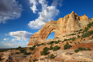 Fototapeta na wymiar White Mesa Arch in Northern Arizona