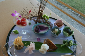 travel in Japan