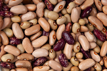 Dried beans