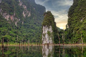 High limestone mountains and trees and carcass reflecting the water in the evening at Ratchaprapa Dam in Khao Sok National Park.