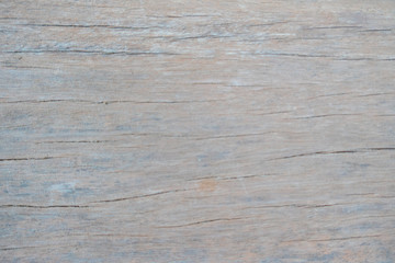 View of dry wood texture