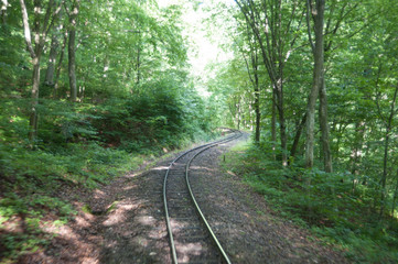 waldbahn in ungarn