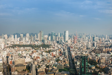 Obraz premium 日本 東京 高層ビルのある風景 typical sight of Tokyo, Japan