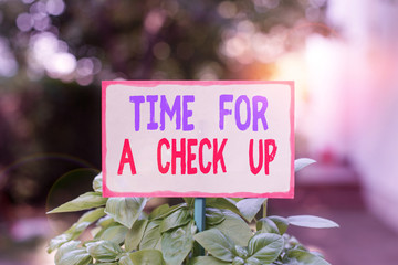 Text sign showing Time For A Check Up. Business photo text a Thorough Examination have a Look on something someone Plain empty paper attached to a stick and placed in the green leafy plants