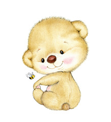 Cute baby Teddy bear on white background