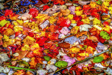 Concord & Lexington Massachusetts USA