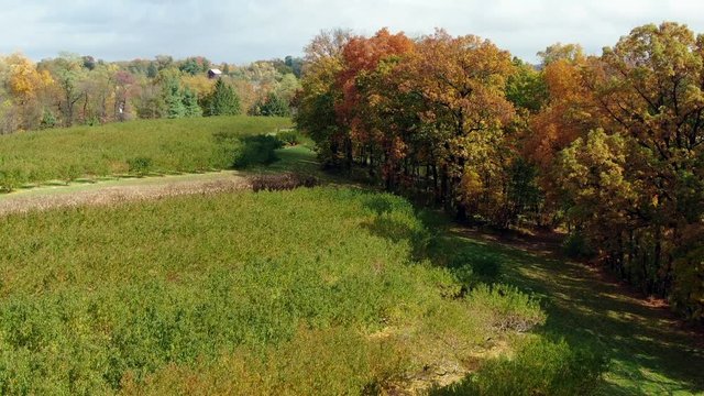 AERIAL LIFT SHOT Over Commercial Peach Fruit Farm