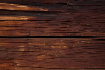 Obraz premium Tree structure