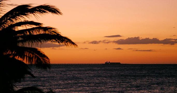 Progreso Coastline with Palm Tree Silhouette at Sunset, Mexico