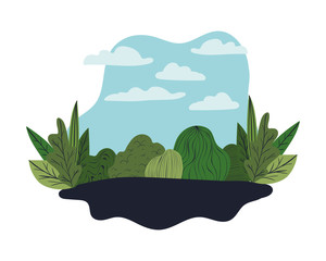 Isolated nature shrubs vector design