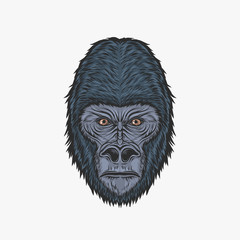 Hand drawing vintage gorilla head vector illustration