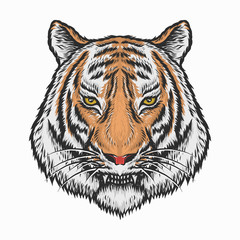 Hand drawing vintage tiger head vector illustration