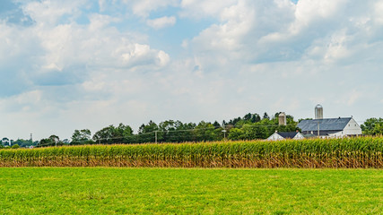 Fototapeta na wymiar Amish country farm barn field agriculture in Lancaster, PA US