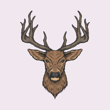 Handdrawn vintage deer head vector illustration