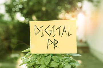 Handwriting text writing Digital Pr. Conceptual photo marketing strategy used to increase their online presence Plain empty paper attached to a stick and placed in the green leafy plants