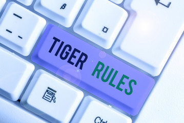 Word writing text Tiger Rules. Business photo showcasing Willpower and demonstratingal strength Resistance to imperial rule