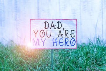 Text sign showing Dad You Are My Hero. Business photo text Admiration for your father love feelings compliment Crumpled paper attached to a stick and placed in the green grassy land