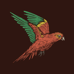Hand drawing vintage flying parrot vector illustration