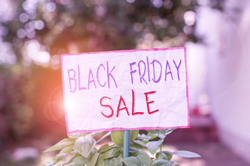 Conceptual hand writing showing Black Friday Sale. Concept meaning Shopping Day Start of the Christmas Shopping Season Plain paper attached to stick and placed in the grassy land