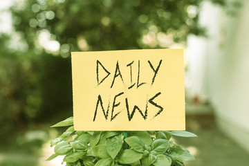 Handwriting text writing Daily News. Conceptual photo information or reports about recent events published everyday Plain empty paper attached to a stick and placed in the green leafy plants