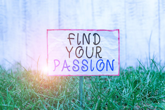 Text sign showing Find Your Passion. Business photo text Seek Dreams Find best job or activity do what you love Crumpled paper attached to a stick and placed in the green grassy land