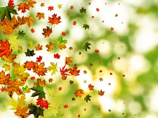 Fototapeta na wymiar Autumn landscape. Season pattern isolated on colorful background. Thanksgiving concept