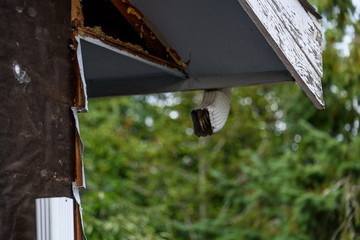 Siding project, outside of house with old siding removed, downspout disconnected 