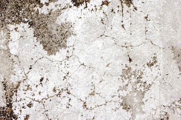 Gray wall texture background,abstract cement surface,ideas graphic design for web or banner