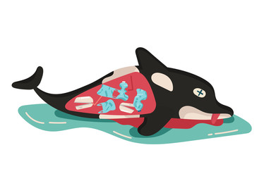 environmental concept, sea, ocean pollution with plastic waste, bottle, garbage, trash or rubbish in animal stomach, marine life, dead killer whale. cartoon flat vector illustration.