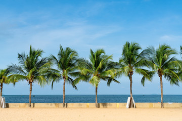 Obraz na płótnie Canvas summer sea with coconut tree row ,beautiful tropical background for travel landscape