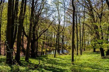 Großer Jasmunder Bodden, Lietzow, Insel Rügen