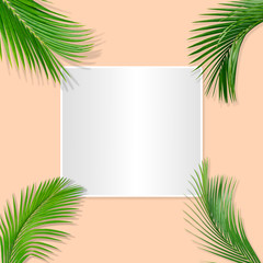 Fototapeta na wymiar Green palm leaves pattern for nature concept,tropical leaf on pastels paper background