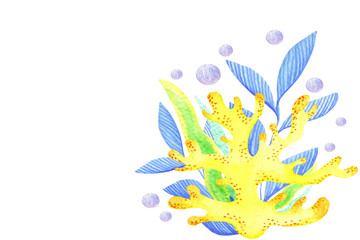 high quality watercolor set underwater life objects yellow corals