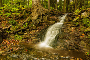 Small Cascading Waterfall in the Forest