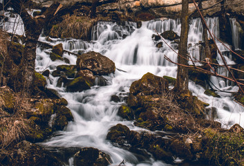 waterfall in the forest