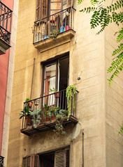 Barcelona, Spain - august 2019: old beige building, middle view. Green plants on balconies. Branch with green leaves near building. Selective soft focus. Blurred background