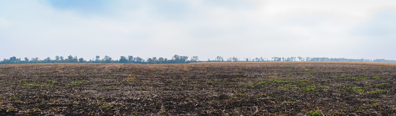 Panorama, agriculture landscape. Field after harvest on blue sky with clouds background