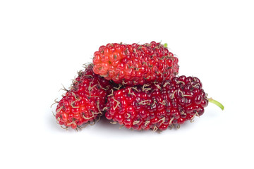 Three fresh mulberry fruits isolated on white background.