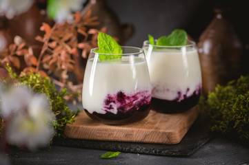 Homemade dessert panna cotta with berry sauce and mint