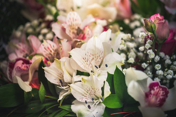 Beautiful summer flowers abstract background