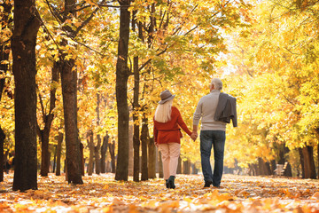 Loving mature couple walking in autumn park