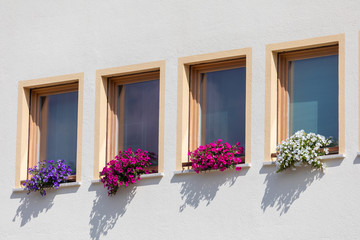 Fototapeta na wymiar Windows on a white wall. The windows have beautiful colorful flowers