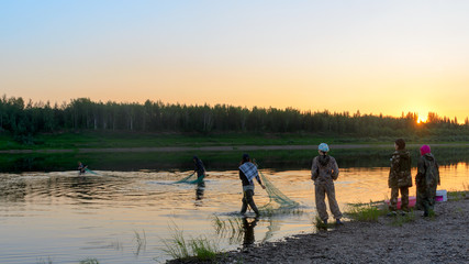 Obraz na płótnie Canvas A group of young Yakut friends in the North traditionally catches local tugun fish with nets in stray boots at sunset.