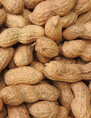 Top view of a pile of raw peanuts also called groundnut. Food concept. With edible seeds and high oil content. Oil crop. Common ingredients in Taiwan. Could be background.