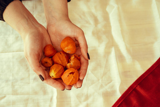 Handful Of Physalis Fruit, View From Above